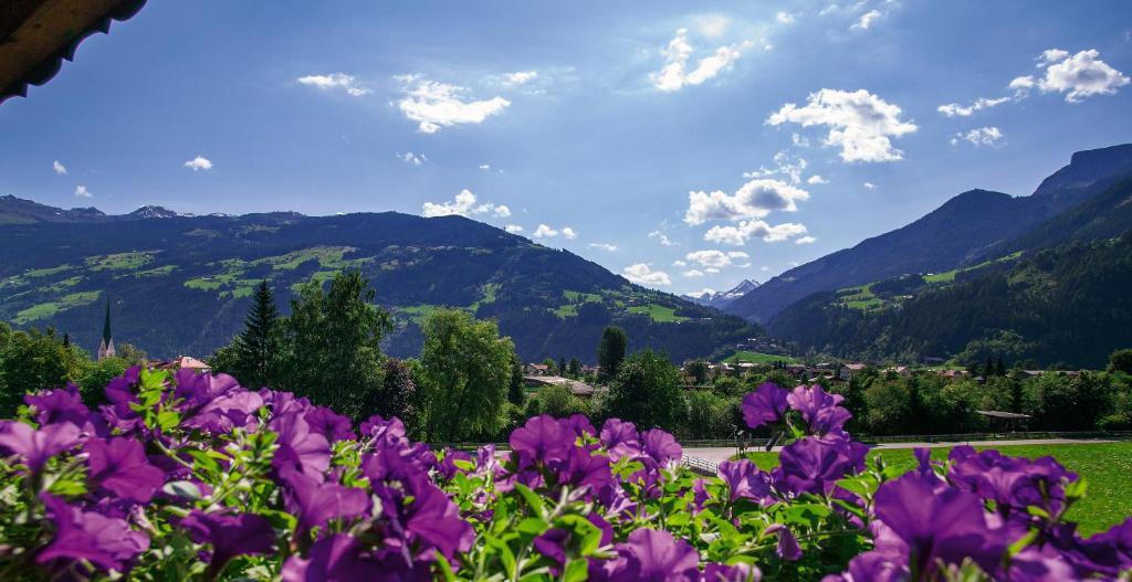 Villa Haidacher Relax & Lifestyle Apartments Zell am Ziller Room photo